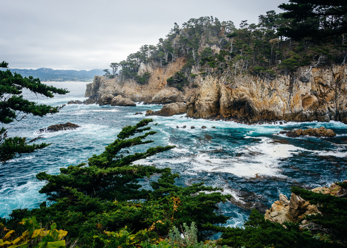 TAKE IN THE SITES OF THE MONTEREY BAY